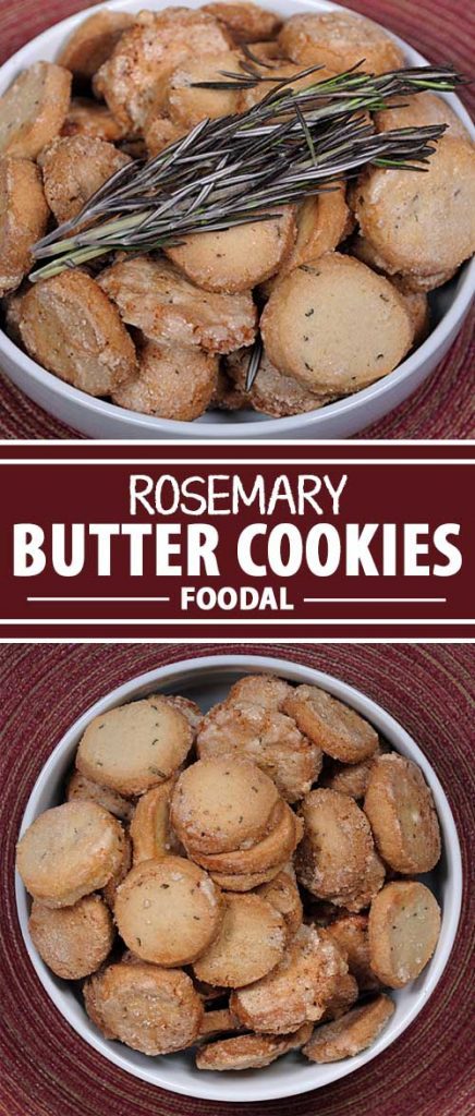 Do you love the savory sensation of rosemary? Ever thought of including it in a sweet cookie? Now is your chance with this delectable recipe that will surprise your tastebuds! Get the recipe now on Foodal.