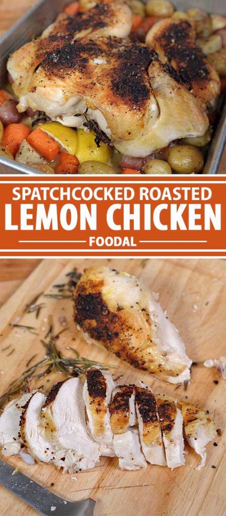 Do you want a tasty chicken dinner that takes only 10 minutes of prep time? One with meat overflowing with juicy goodness but also with a nice crispy skin? You really need to check out this roasted lemon chicken that is roasted over a bed of potatoes and carrots. A true one pan meal. Get this super easy recipe now.