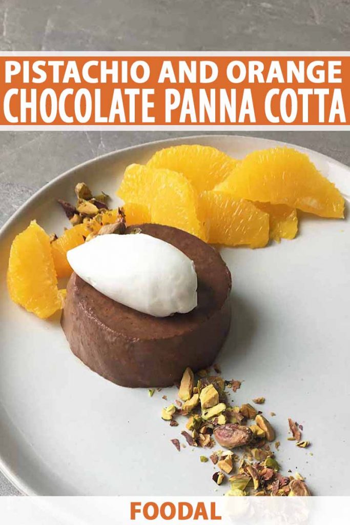 Oblique view of chocolate panna cotta topped with a quenelle of whipped cream, on a white plate with orange supremes and chopped roasted pistachios, on a gray background, with orange and white text.