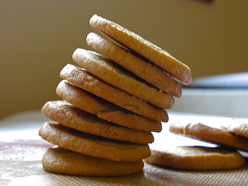 A stack of vanilla spice cookies | Foodal