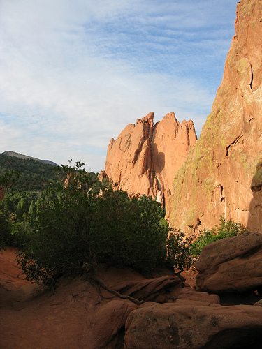 A beautiful image of jagged rocks towering over trees. 