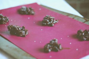Chocolate Crunchies: The Perfect Mid-Winter Treat