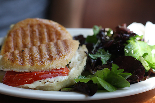 An image of a white plate filled with tomato panini with mozzarella & basil.