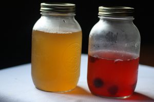Kombucha 101: Learn How to Make Your Own at Home