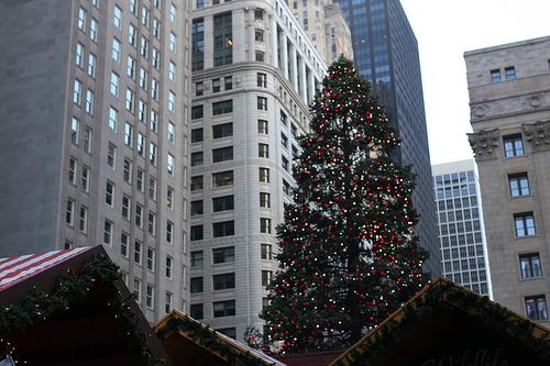 An image of tall Christmas tree against a background of skyscrapers.