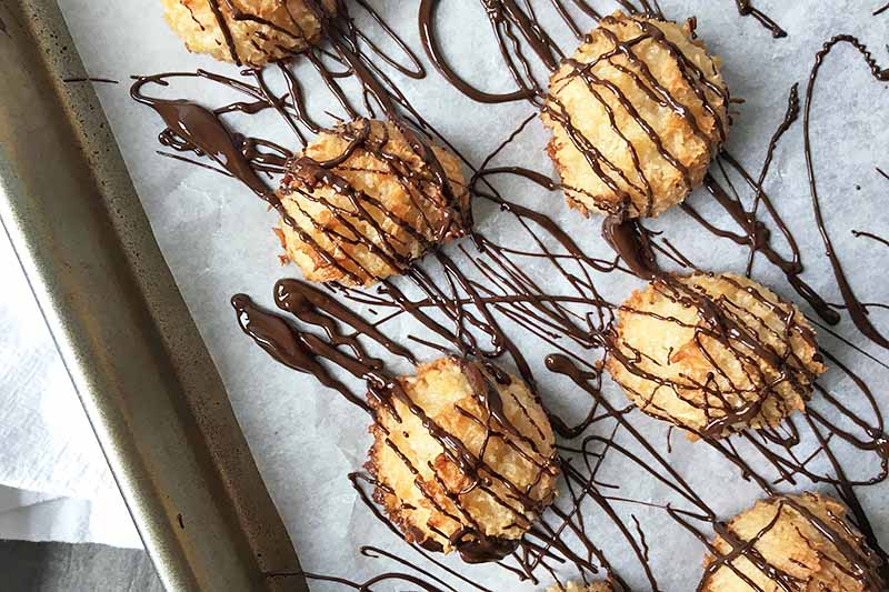 Horizontal image of toasted cookies freshly drizzled with melted chocolate on a pan.