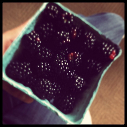 A close up image of a box of blackberries. 