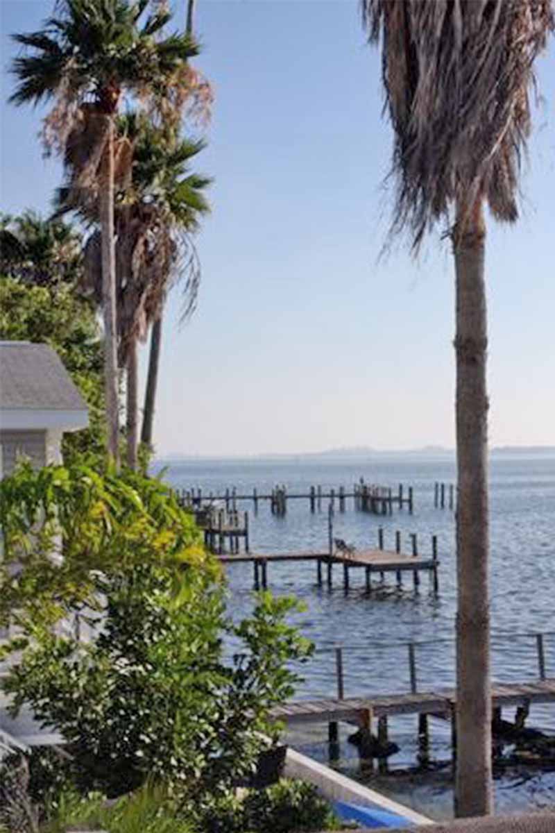 Palm trees, water, and wooden docks in Florida.