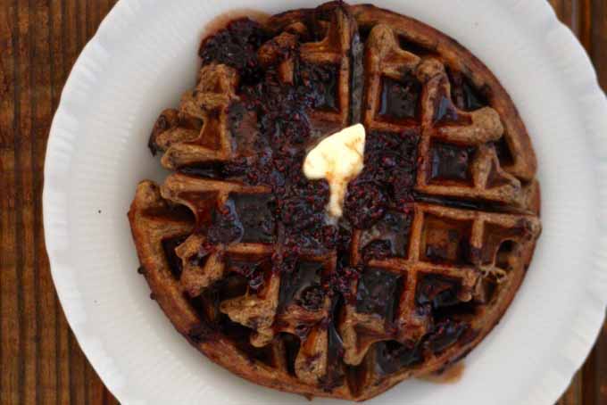 Top down view of a Chocolate Chip Einkorn Belgian Waffle on a white ceramic plate.