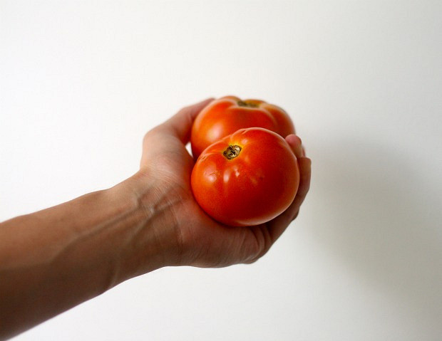 A fistful of fresh tomatoes