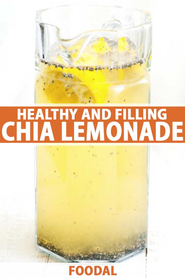 A clear tall glass of a healthy and filling chia lemonade drink on a white background.