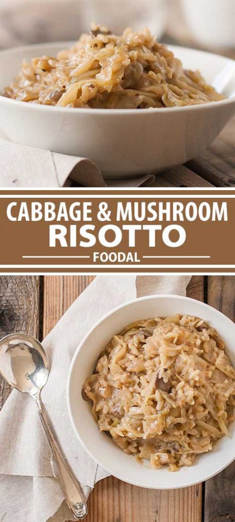 A collage of photos showing different views of cabbage and mushroom risotto recipe.