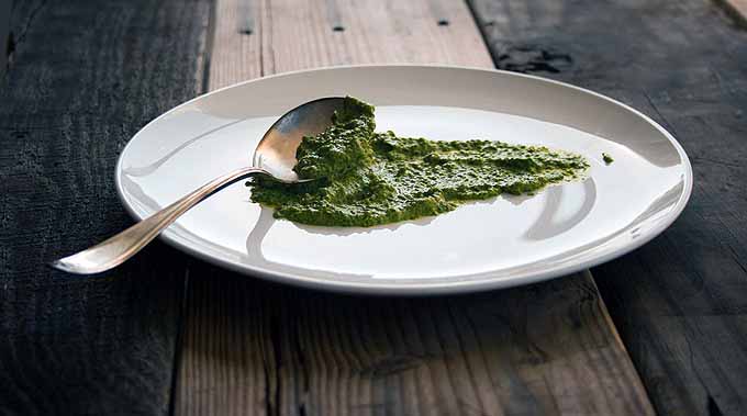 Side profile of a white ceramic plate with dabs of homemade pesto sauce sitting on a wooden dark planked surface.