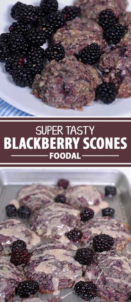 Bake these delicious blackberry scones for breakfast, brunch, or coffee time! These serve equally well for breakfast for the kiddos or for a boardroom meeting. And the ingredients are wholesome and nutritious. Quick and easy to to make too!