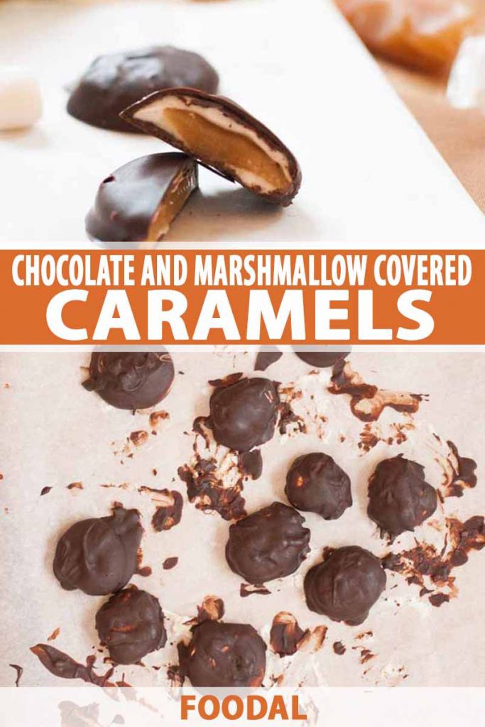 A collage of two photos showing a close up and an overhead shot of a chocolate and marshmallow covered caramel recipe.