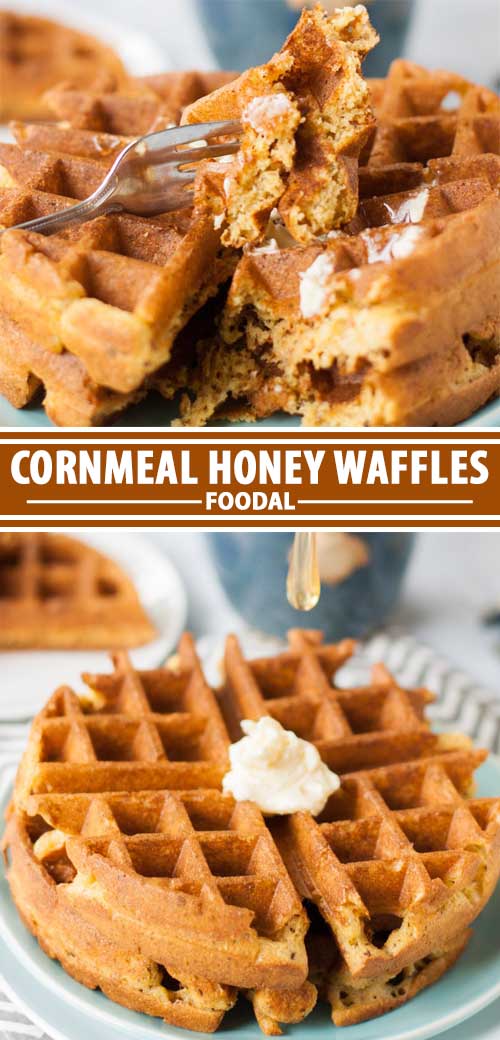A collage of photos showing different views of a cornmeal honey waffle recipe.
