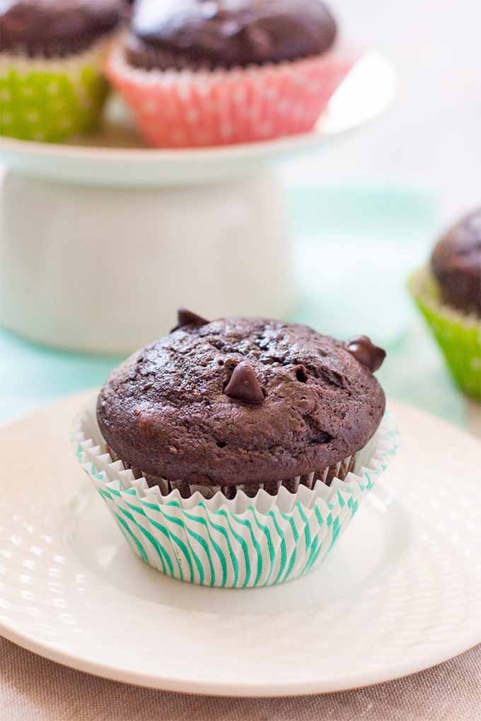Vertical image of a brown vegan double chocolate muffin in a blue paper liner on a white plate, with more in the background on a white wooden table topped with a pale blue cloth, and on a white ceramic cake stand.