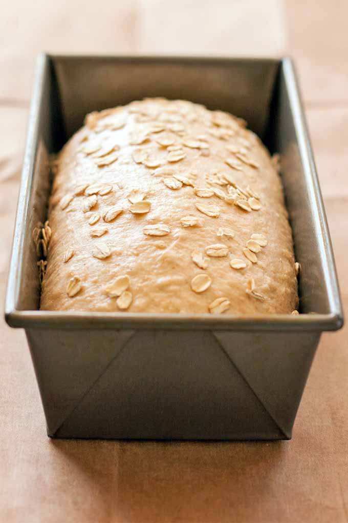 A risen loaf-shaped bread dough in a metal baking pan, topped with oats, on a wood surface.