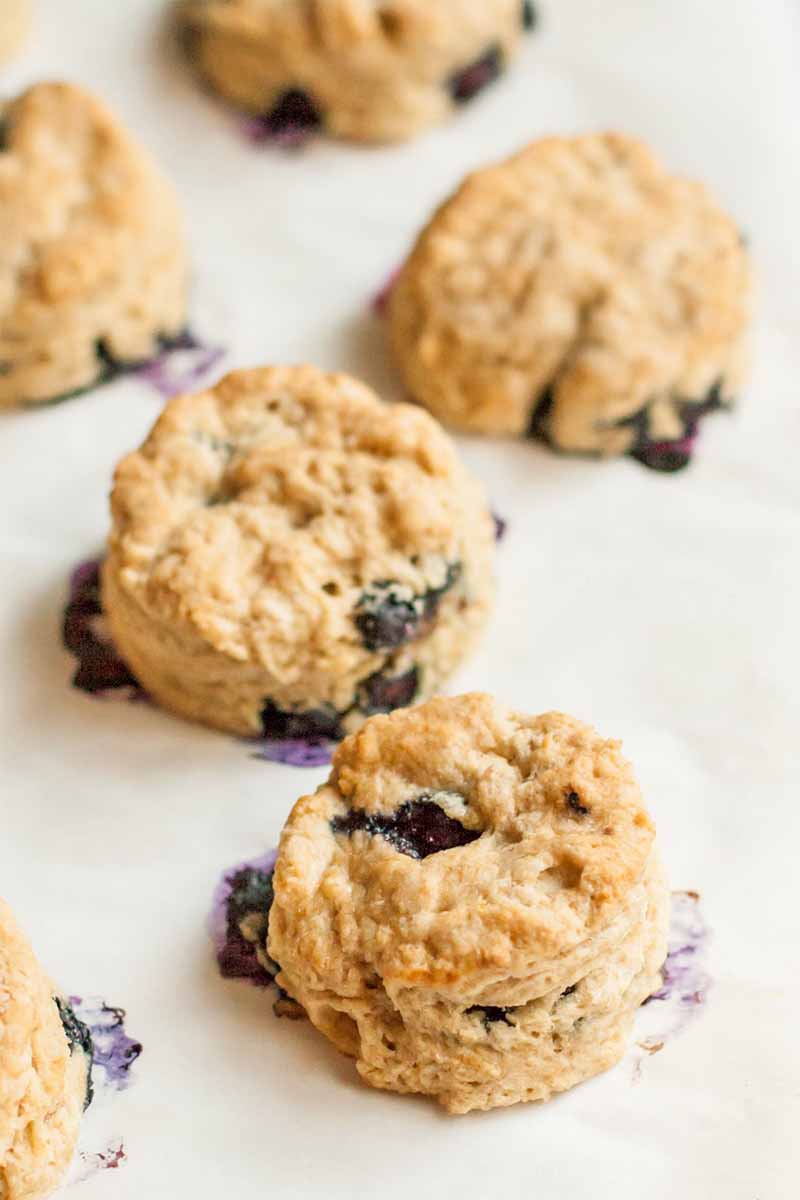 Round blueberry scones on white parchment paper.