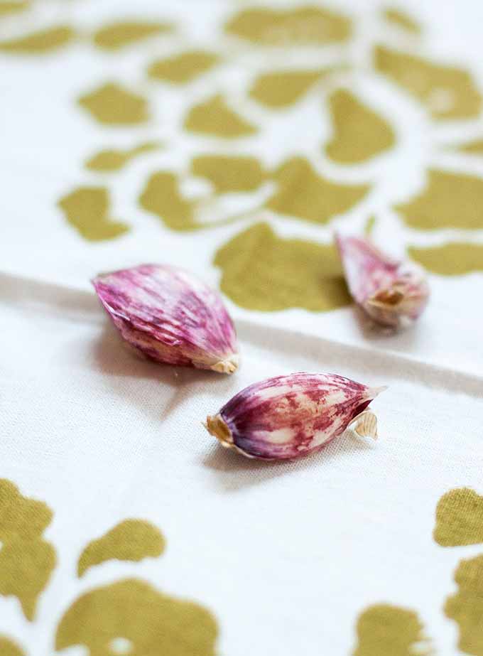Three cloves of purple garlic on a patterned tablecloth.