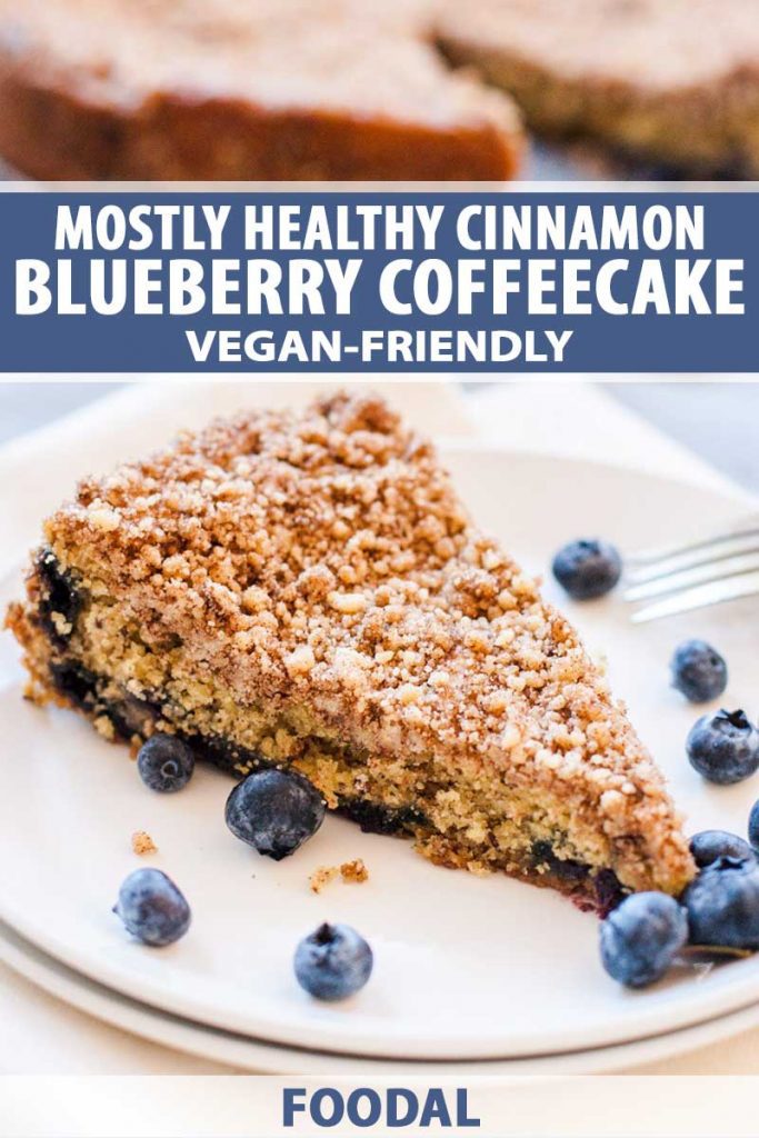 Oblique view of a slice of a healthier cinnamon blueberry coffee cake on a white, ceramic platter