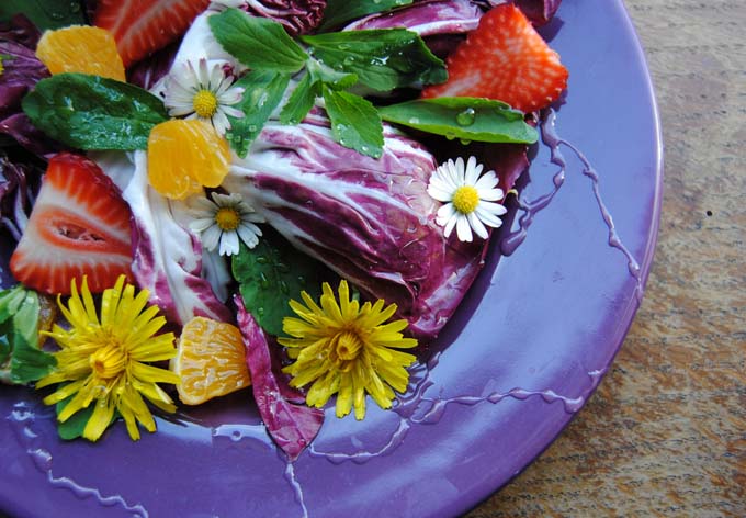Eddible flowers with light oil dressing on purple plate