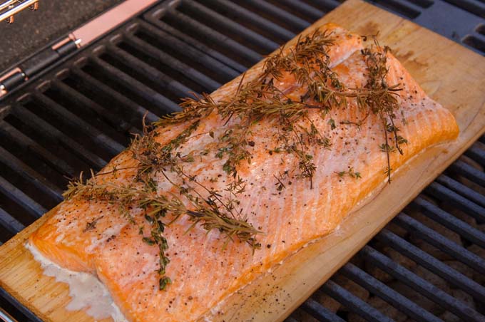 Plank that has raw salmon with dill leaves on top placed on a cedar plank which is sitting on a BBQ grill