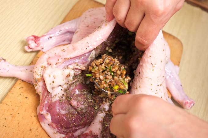 Stuffing a Goose 2 |Foodal.com