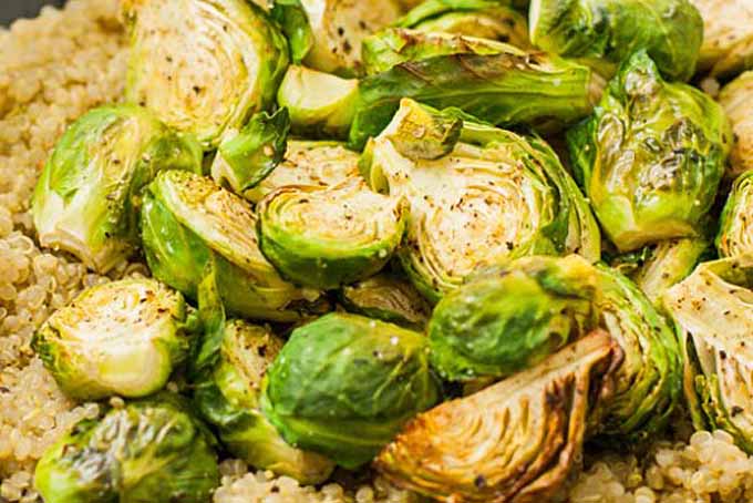 https://foodal.com/wp-content/uploads/2014/11/Easy-Roasted-Brussels-Sprouts-recipe.jpg