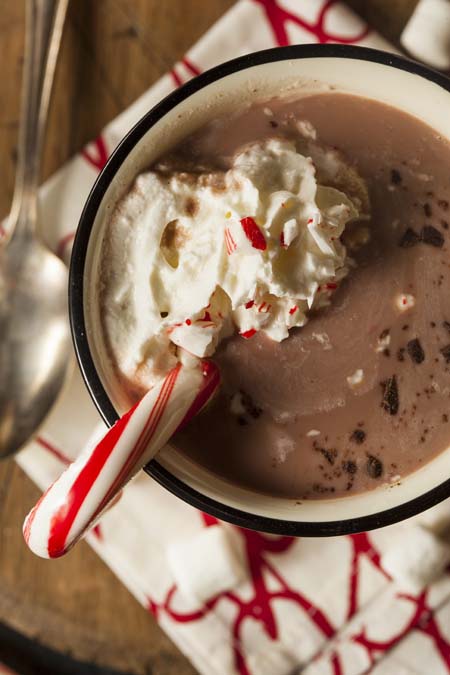 Peppermint Hot Chocolate | Foodal.com