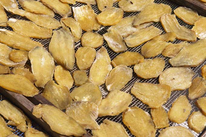 Dried Potatoes on a Dehydrator Rack | Foodal.com