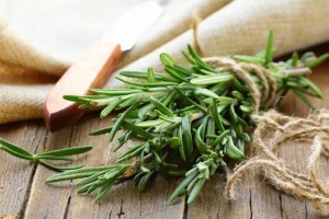 Everything You Ever Wanted To Know About Rosemary