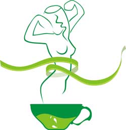 Green Tea Weight Loss | Foodal.com