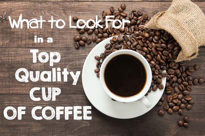What to Look For in a Top Quality Cup of Coffee | Foodal.com