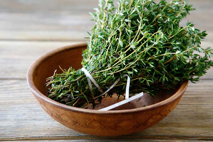 How to use Thyme | Foodal.com