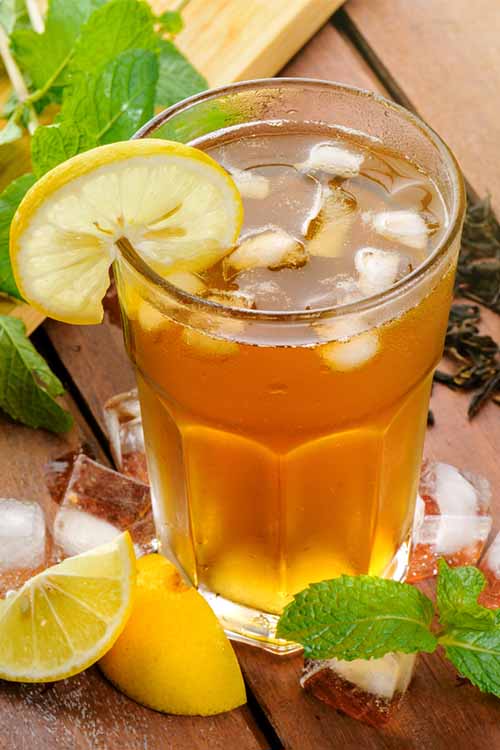 Iced Tea with Lemon and Mint | Foodal.com