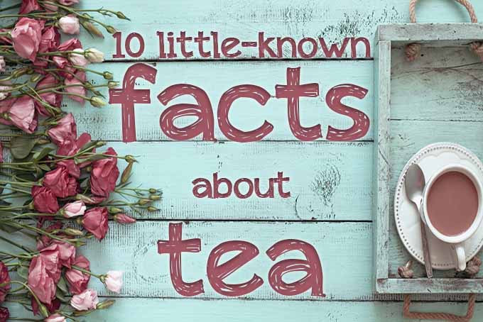 Little-Known Tea Facts | Foodal.com
