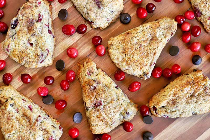 Closely cropped overhead shot of seven triangular scones scattered among whole cranberries and chocolate chips on a brown wood surface.