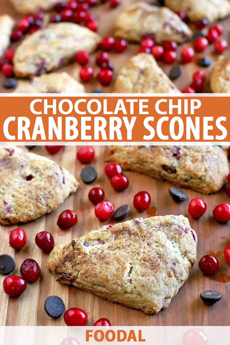 Vertical image of triangular homemade scones with scattered whole cranberries and chocolate chips, on a brown wood background, printed with orange and white text.