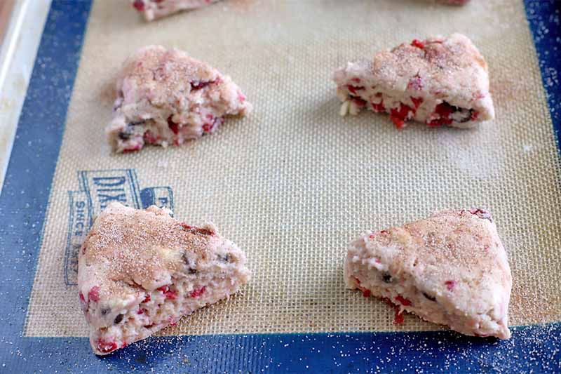 Raw scone dough studded with cranberries is shaped and arranges in rows of two each on a white and blue silicone baking mat.