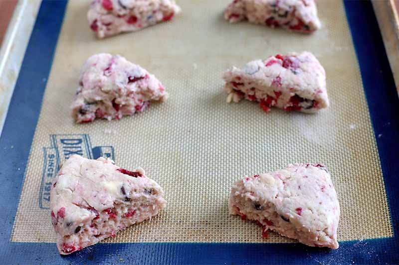 Six triangular cranberry and chocolate chip scones arranged in rows on a well-used white silicone baking mat with a blue border.