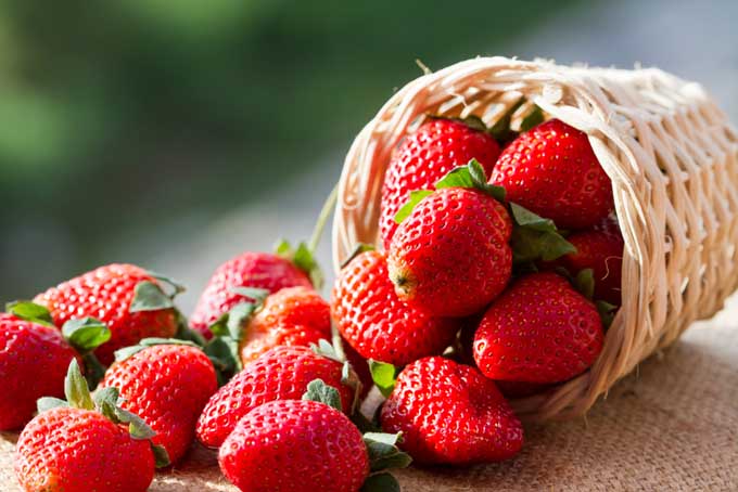 Make Strawberry Season Last All Year | Foodal.com
