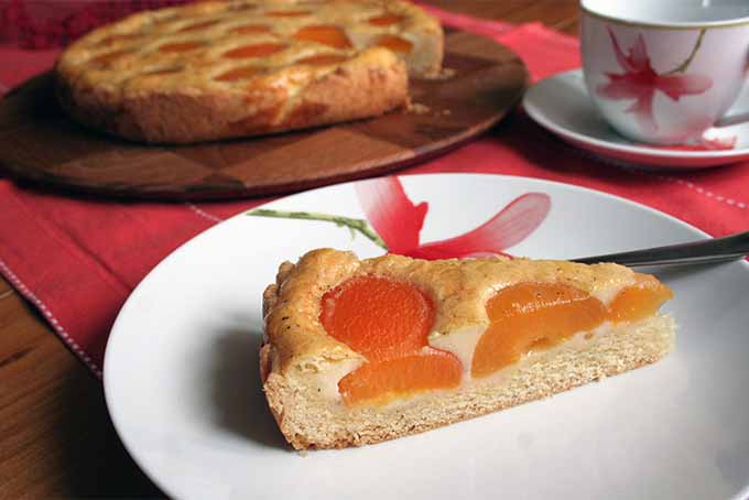 Mom's Apricot Tart | Foodal.com