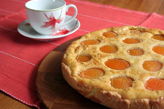 Apricot Tart, Ready to Serve | Foodal.com