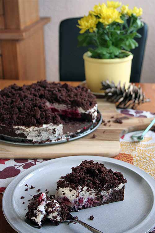 A delicious mess that's just waiting for you to sink your teeth into it. Learn to make this scrumptious dessert now: https://foodal.com/recipes/desserts/this-german-mole-cake-will-have-you-digging-for-more