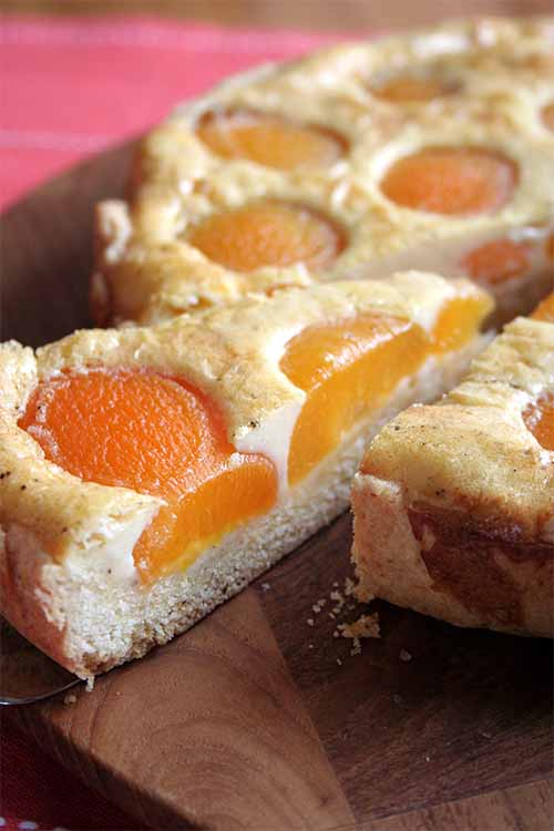 Enjoy a slice of this delicious homemade tart as the sweet ending of your next meal. We share the recipe: https://foodal.com/recipes/desserts/moms-best-apricot-tart/ 