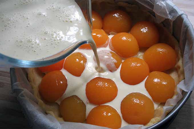 Pouring Cream Over Apricots | Foodal.com