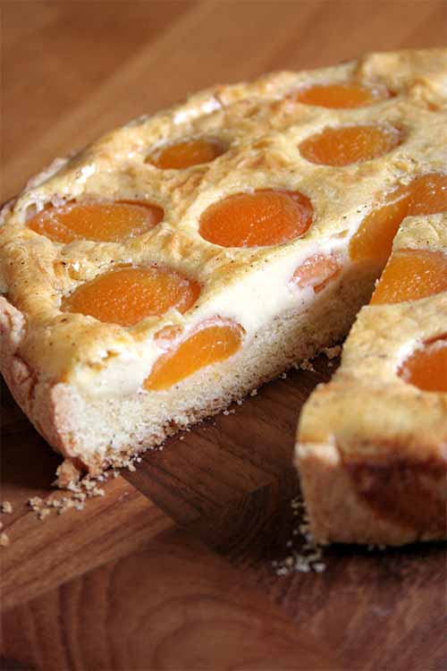 Looking for a fruit-filled dessert recipe that's rich and delicious, and that doesn't require a lot of prep work? Make this tart with canned apricots, and half of the prep is already done for you! Read more: https://foodal.com/recipes/desserts/moms-best-apricot-tart/ 