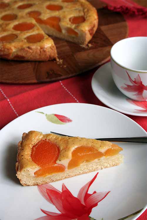 Try this homemade apricot tart. Developed in Germany - delicious anywhere. Get the recipe here: https://foodal.com/recipes/desserts/moms-best-apricot-tart/ 