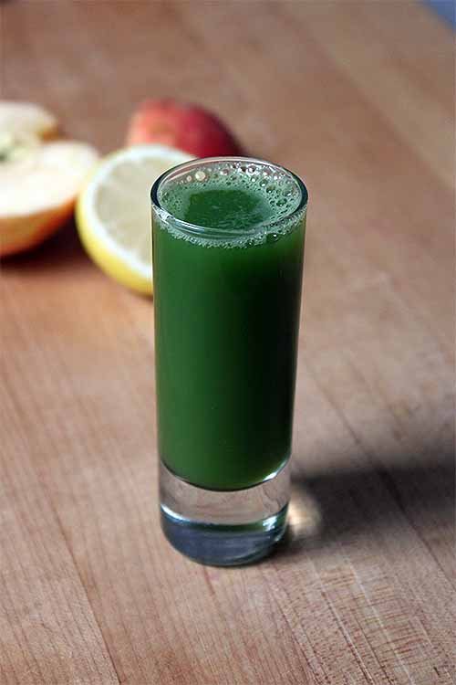 We've got the perfect entry-level recipe to make your own green juice recipe at home! Read more: https://foodal.com/drinks-2/juice/spinach-apple-juice/